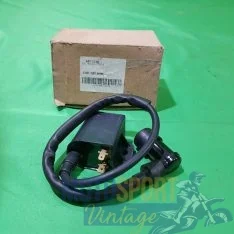 bobina suzuki epicuro 125/150