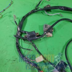 impianto elettrico aprilia amico 50 - immagine 7