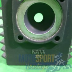 testata fantic issimo 50 epoca - immagine 3